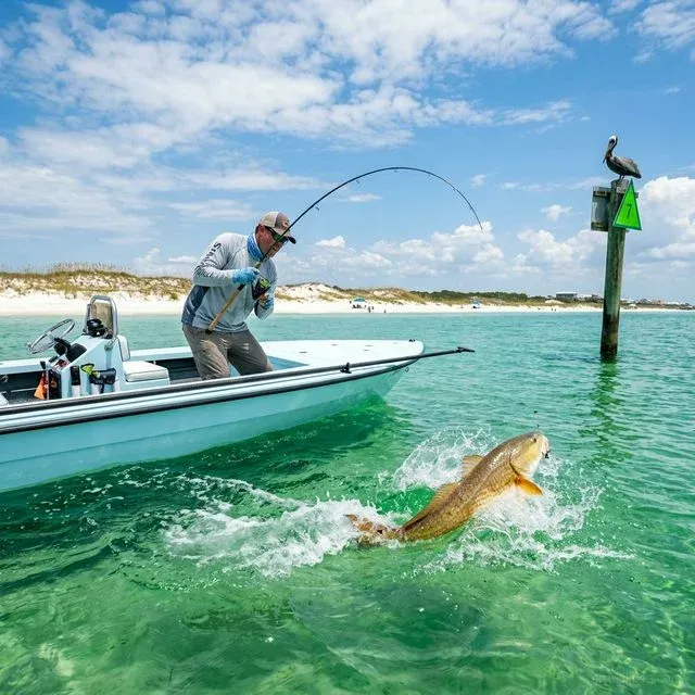 Angler fighting a redfish from a flats boat in emerald green Gulf of Mexico water with white sand beaches and pelicans in the background